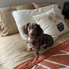 Teilor-Kaiser-Clarey-Insense-100-Bamboo-Sheets-Photo-Styled-Square-1080x1080